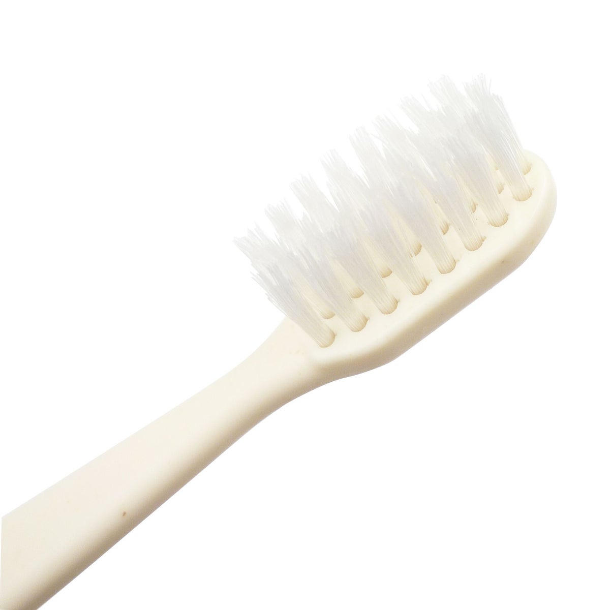 インスタントエコ歯ブラシ 食用外米35％配合 3000本3